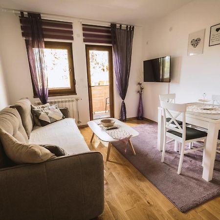 Apartmani F&A Zlatibor Buitenkant foto